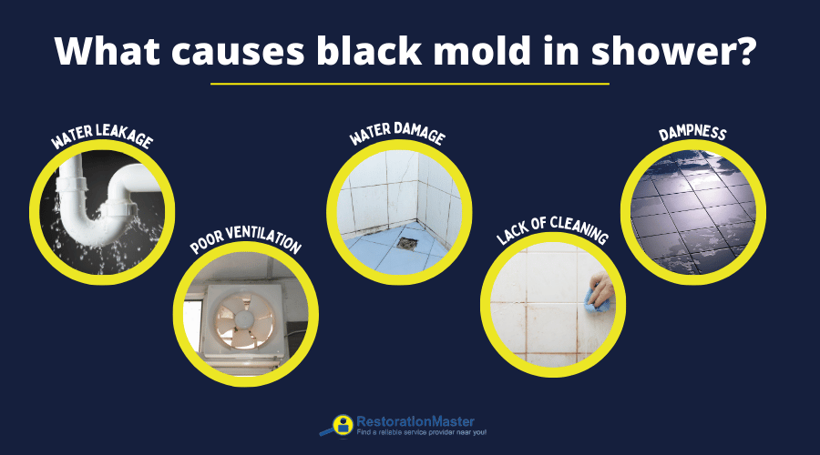 What causes black mold in shower