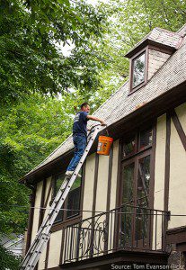 Waterproof your home well.