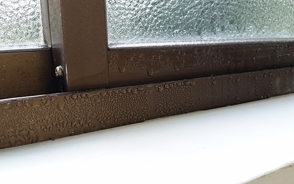 Condensation contributes to mold growth.
