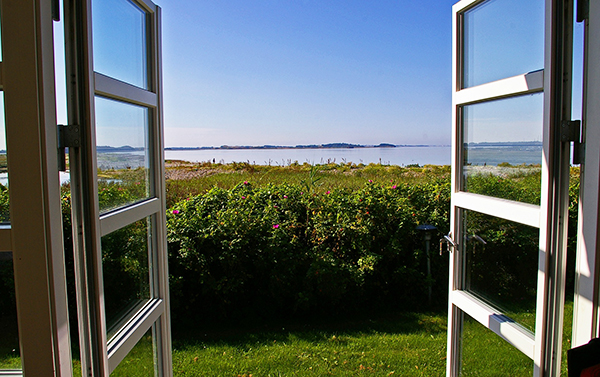 Proper ventilation is essential for mold prevention.