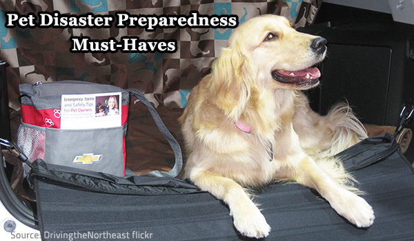 Make sure you have an efficient pet disaster preparedness plan.