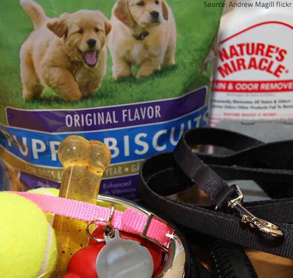 Stock on the essential pet supplies your animal friend needs.