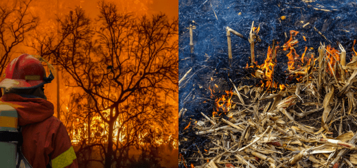 High Temperatures Increasing Risks for Drought and Fires