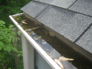 Clogged gutters can lead to serious water damage.