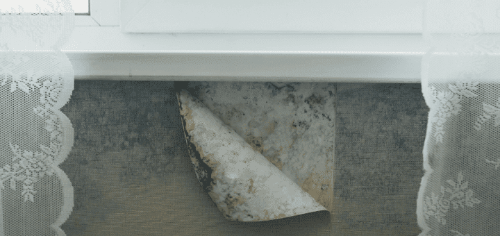 Mold behind wallpaper