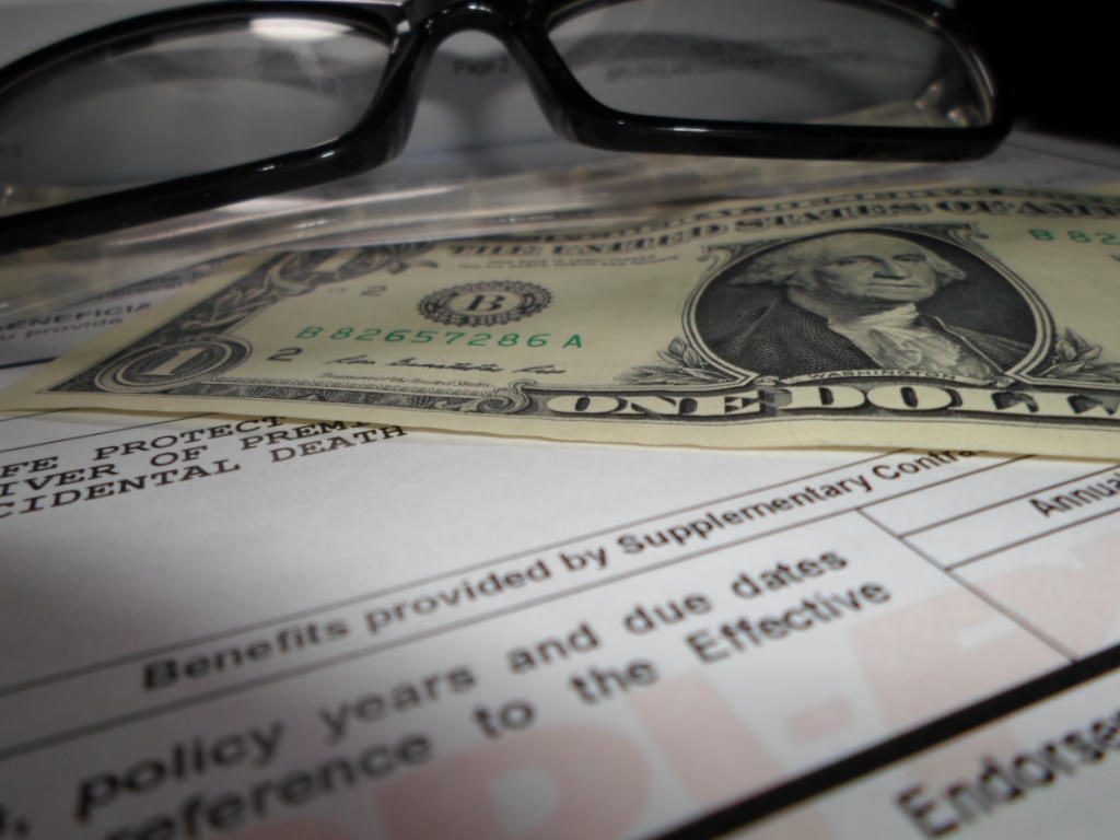 Homeowner’s Insurance Coverage for Mold Damage Insurance-Policy-Disaster-Preparation