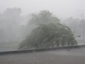 How-to-Prepare-for-Hurricane-Damage