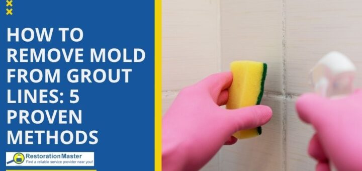 how to remove mold from Grout Lines 5 Proven Methods