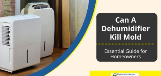 can a dehumidifier kill mold