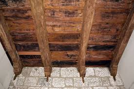 Mold in the attic Prevent-Mold-in-Attic-and-Crawlspaces