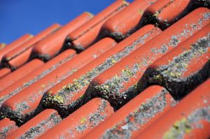Spring-Roof-Damage-Reliable-Roofing