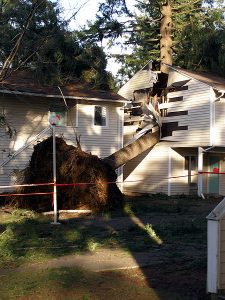 Storm Damage Restoration Denver CO