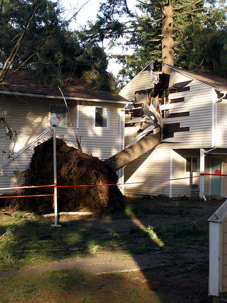 storm_damage