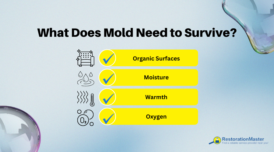 what does mold need to grow graphic what does mold need to grow graphic