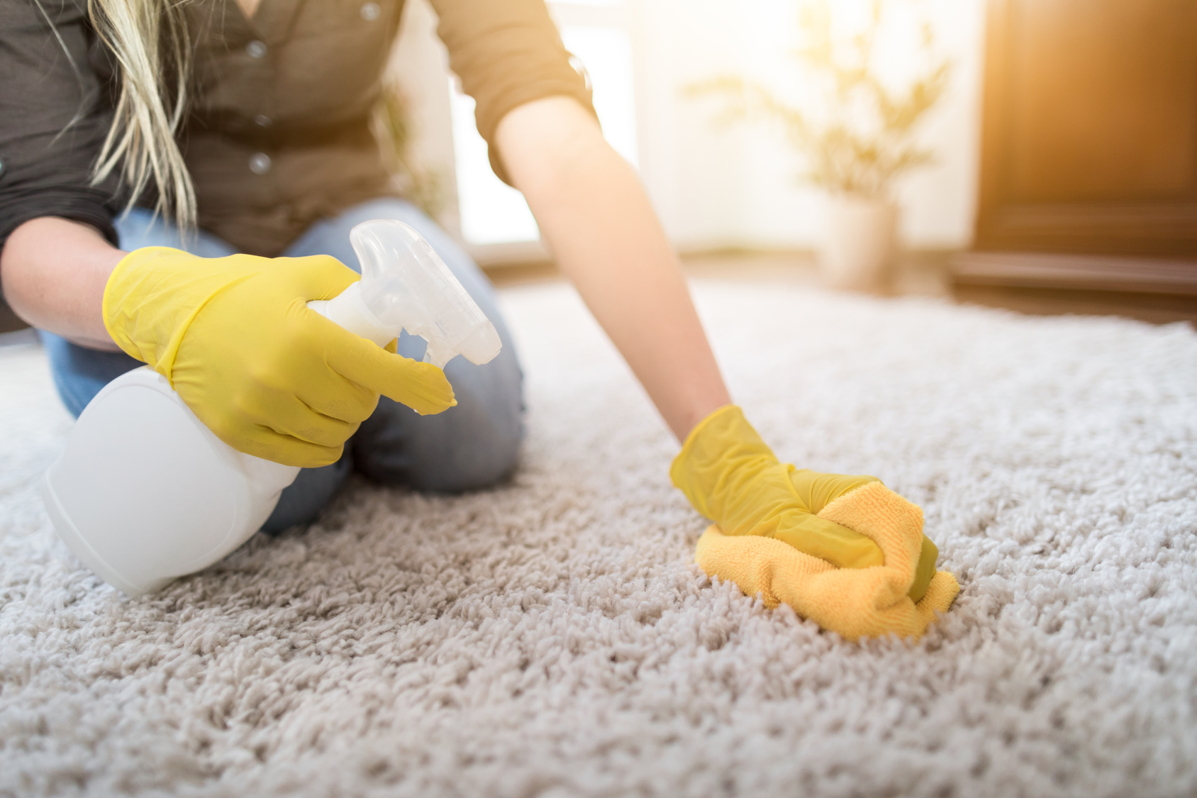 Remove-Carpet-Mildew-Musty-Smells