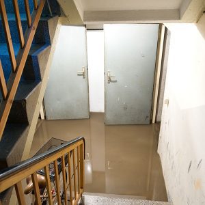 Main Signs of Water Damage in Your Basement
