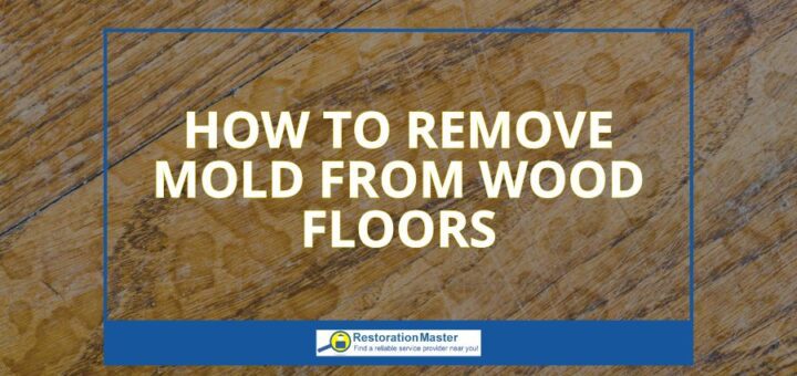mold removal process from wood floors