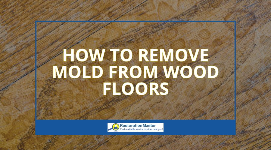 mold removal process from wood floors mold removal process from wood floors