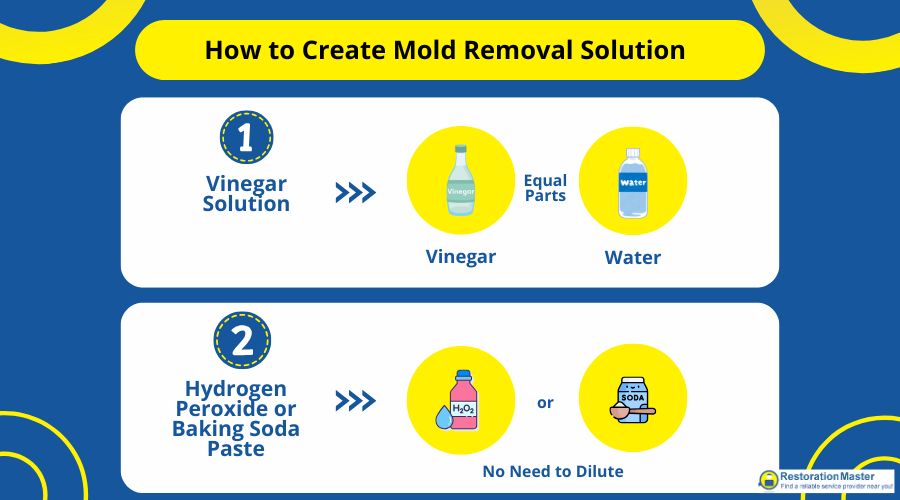 how to create diy mold removal solution how to create diy mold removal solution