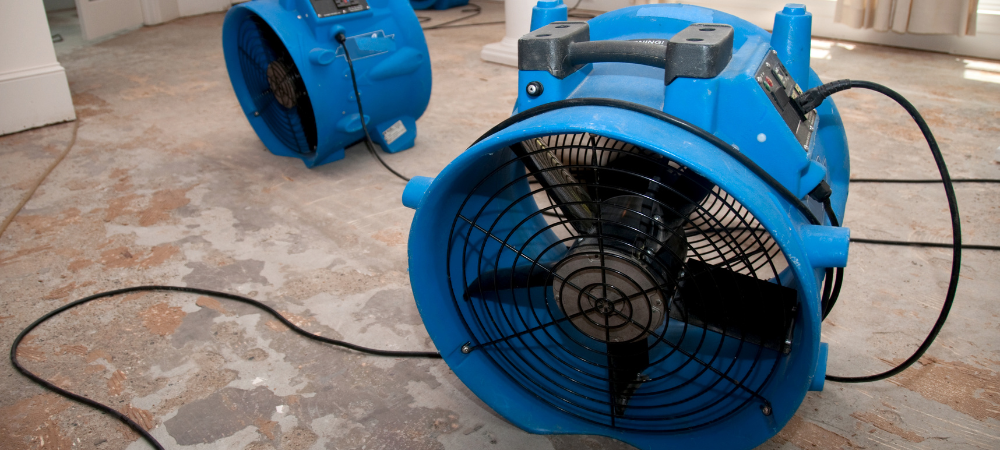 Thoroughly Dry the Affected Area Thoroughly Dry the Affected Area