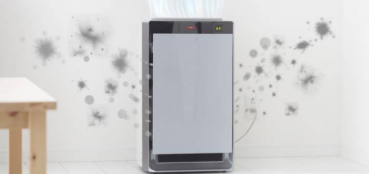 What-to-Expect-from-Professional-Odor-Removal-Services