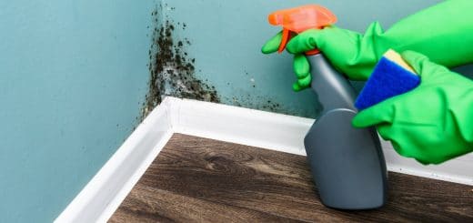 Rainbow International Restoration of South & West Suburbs Mold Remediation