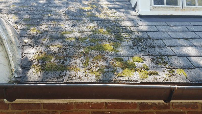 Perform Outdoor Maintenance