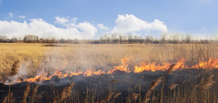 Fire-Spreading-Causes