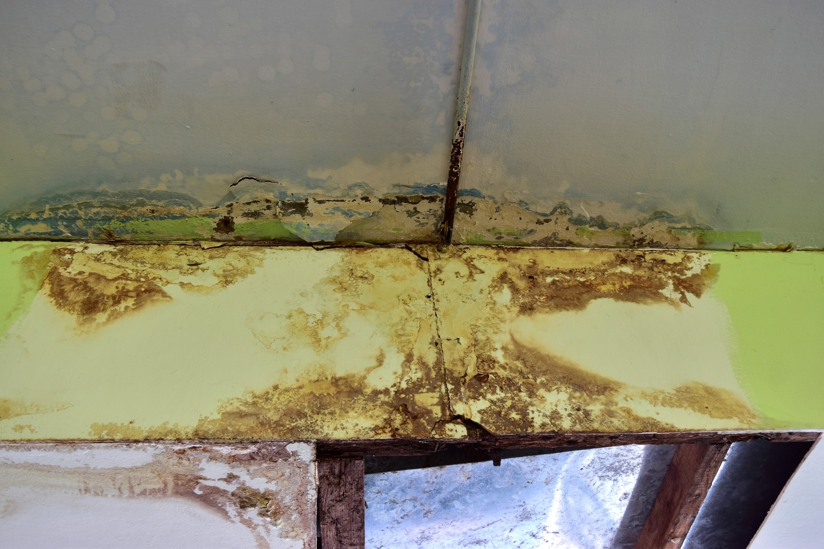 Mold-in-Crawlspace-What-to-Do