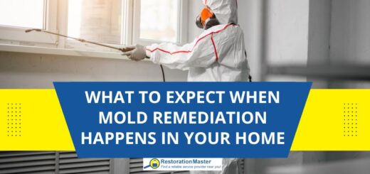 What to Expect When Mold Remediation Happens in Your Home