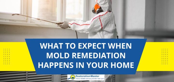 What to Expect When Mold Remediation Happens in Your Home