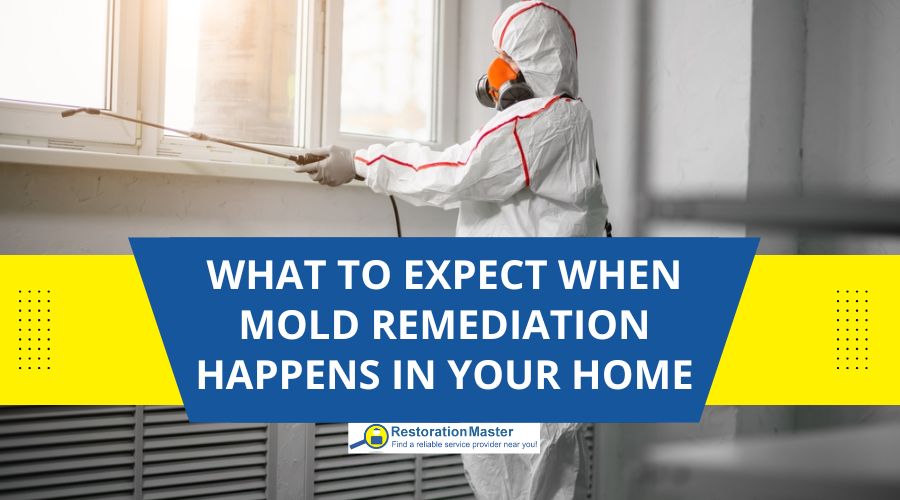 What to Expect When Mold Remediation Happens in Your Home What to Expect When Mold Remediation Happens in Your Home