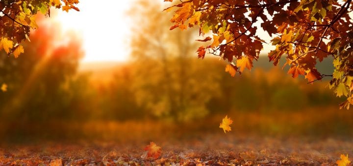 Rainbow International Restoration of South & West Suburbs Water damage restoration