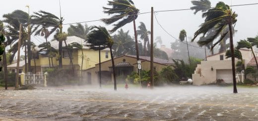 Hurricane Flood Damage