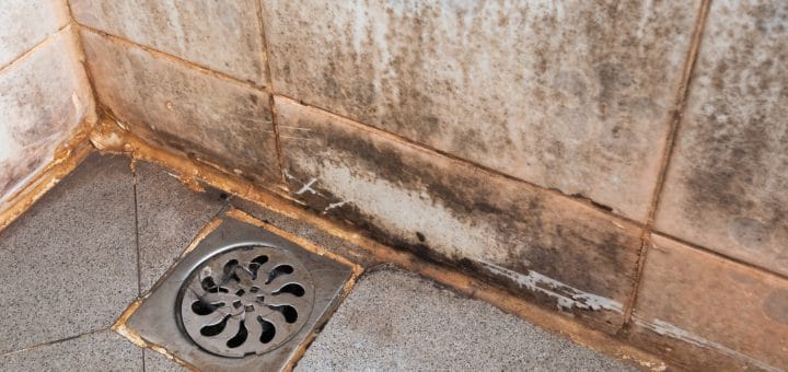 Mold-Growth-In-Bathroom-Moisture