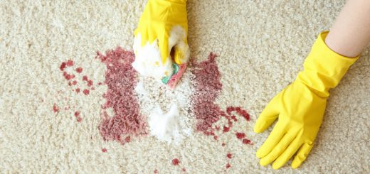 biohazard and trauma scene cleaning with ServiceMaster of the Shore Area