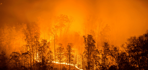 How Do Wildfires Start