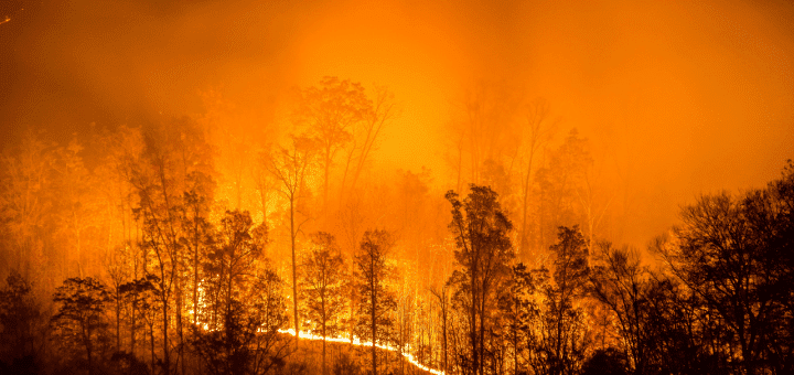 How Do Wildfires Start