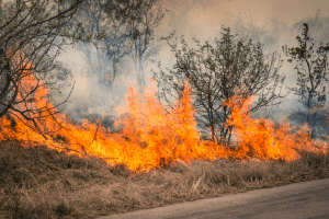 How Do Wildfires Start