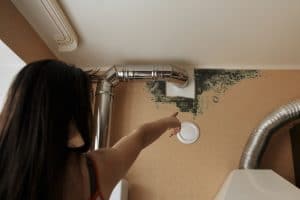 mold removal and mold remediation - mold found on an indoor wall