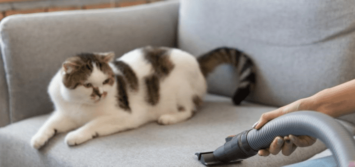 5 Ways to Allergy-Proof Your Home