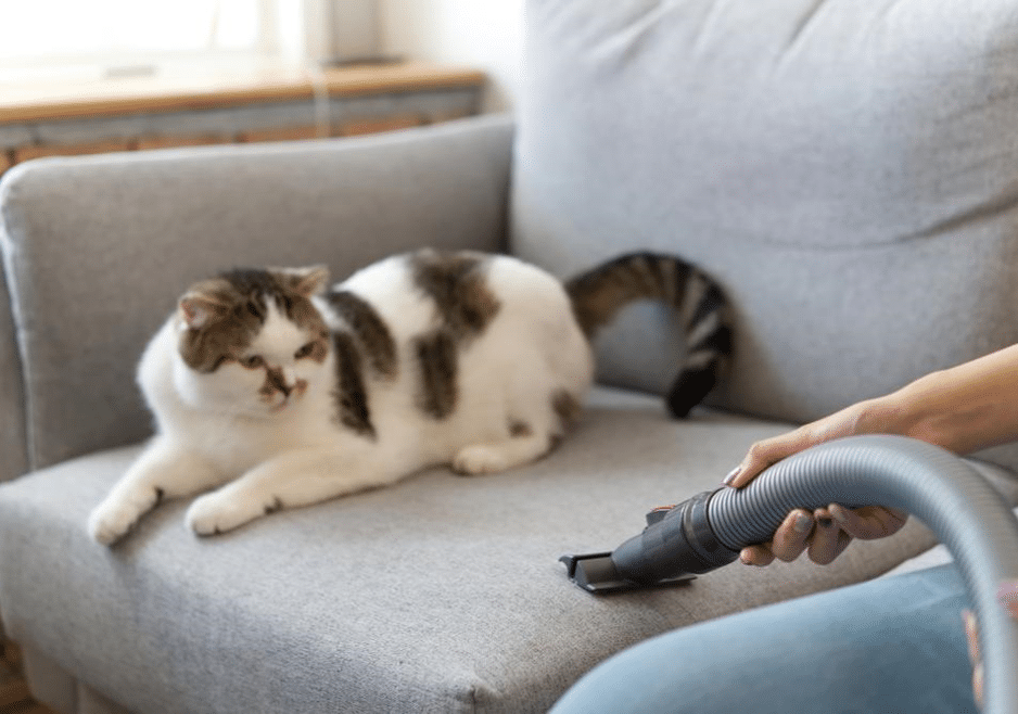 5 Ways to Allergy-Proof Your Home