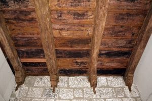 Mold remediation south bend in