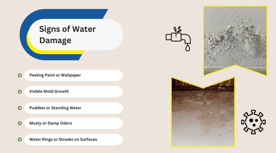 signs of water damage signs of water damage