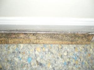 Carpeting and Subflooring Carpeting and Subflooring