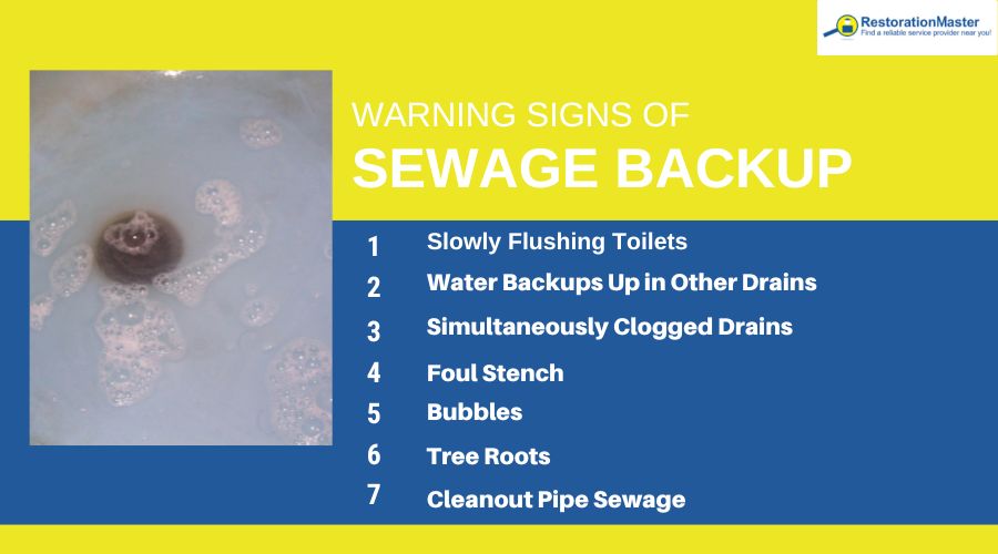 warning signs for sewage backup