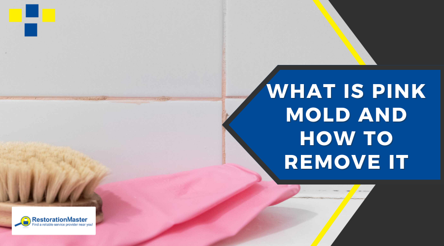 Pink Mold Removal and Remediation - RestorationMaster Pink Mold Removal and Remediation - RestorationMaster