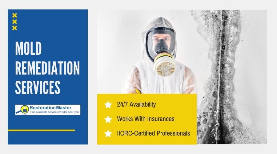 mold remediation services by restorationmaster