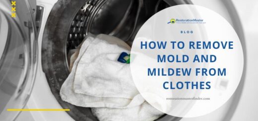 DIY methods to remove mold and mildew from clothes