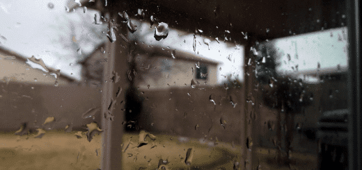 How to Prevent a Soggy Yard After a Heavy Rain